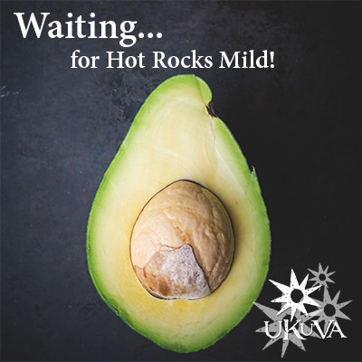Half Avocado waiting for Ukluva Hot Rocks Mild Grinder