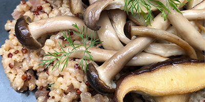 Enoki Mushrooms in Dill Mustard butter on quinoa