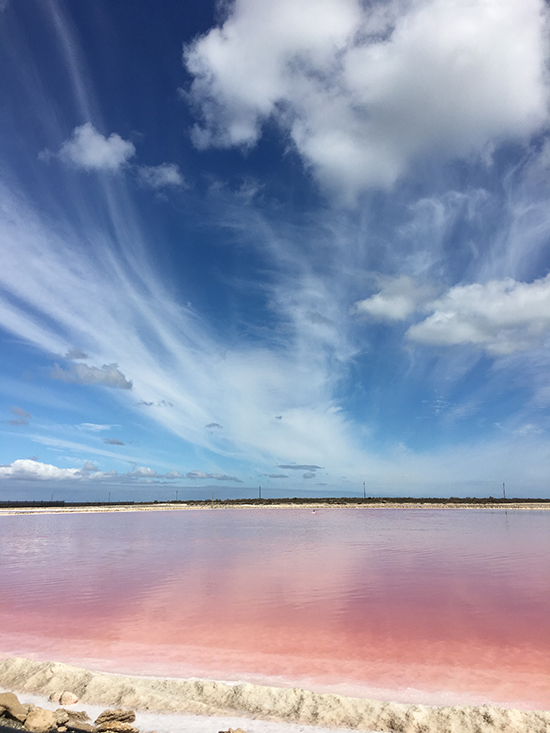 Turqle producer: Khoisan Natural Salt in Veldrift